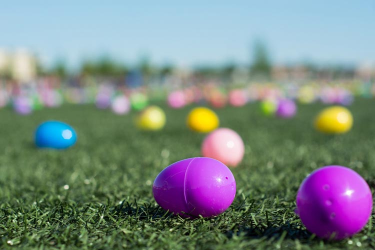 5 Quick Egg Hunt Tips for Planners