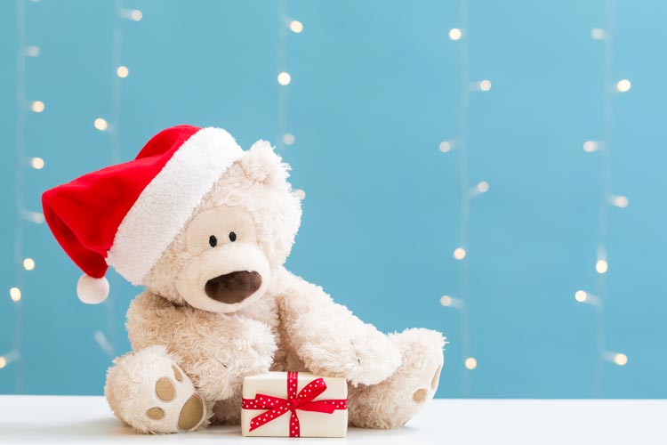 Five Tips for a Successful Santa Shop...