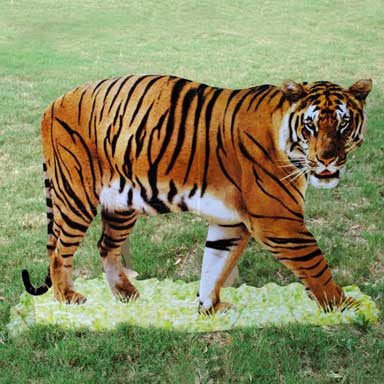 Tiger Cardboard Stand Up