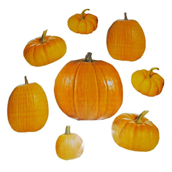 Pumpkin Cut Outs