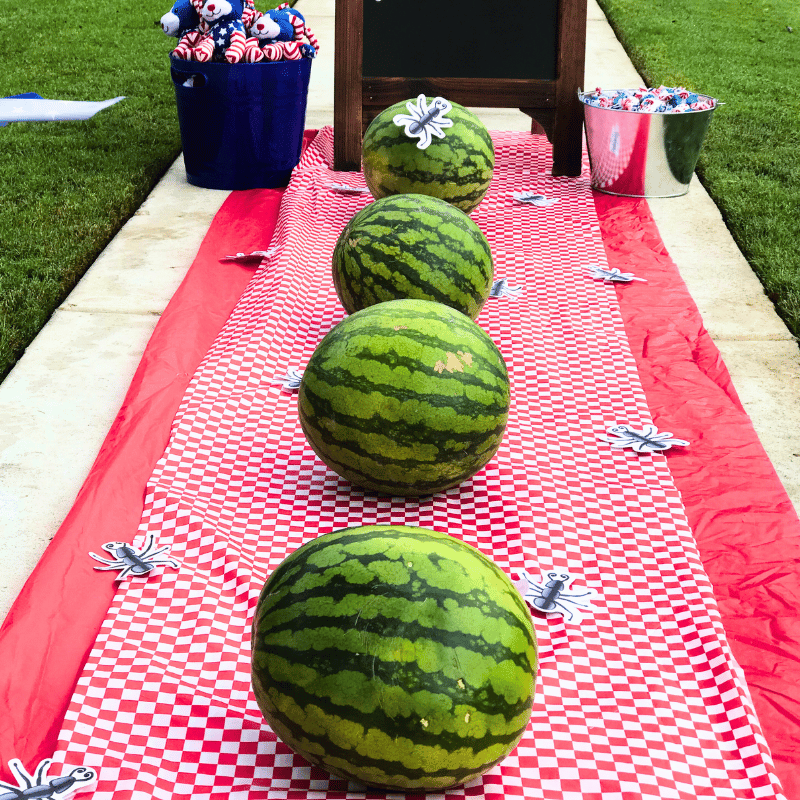 red white checkered tablecloth roll