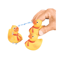 Thumbnail for squirt duck prize