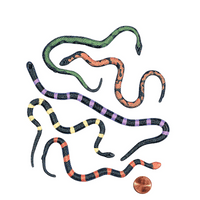 Thumbnail for stretchable toy snakes