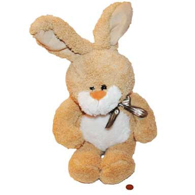 Stuffed Toy Bunny