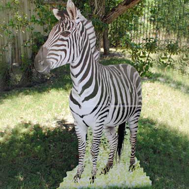 Zebra Cardboard Stand Up