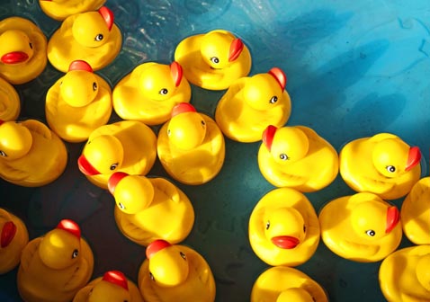 Duck matching game (set of 20 rubber ducks) Party games